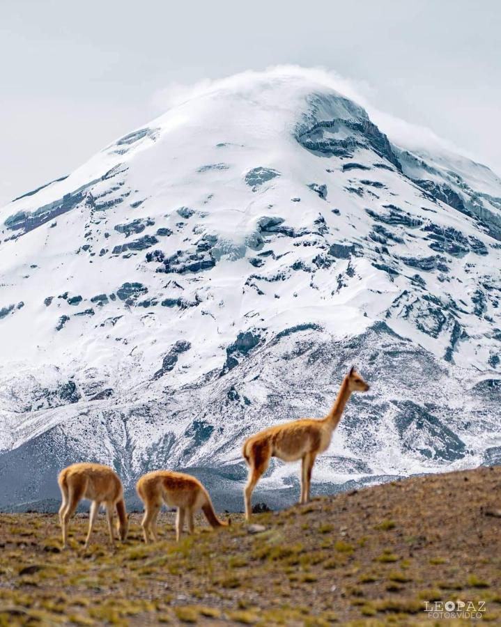 Hotel Bonaventure Quito Kültér fotó